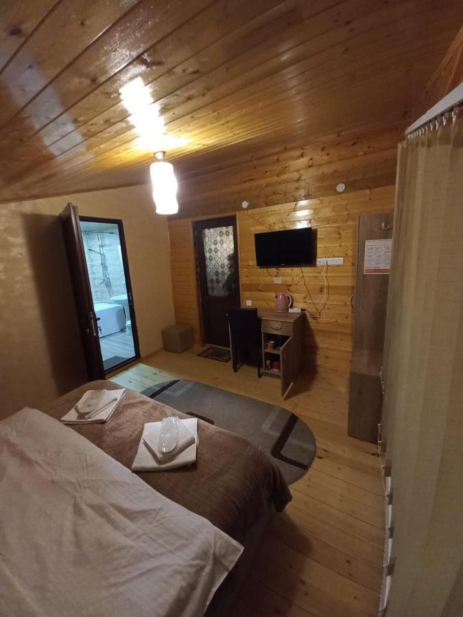 Hotel Four Season In Kazbegi Exteriér fotografie